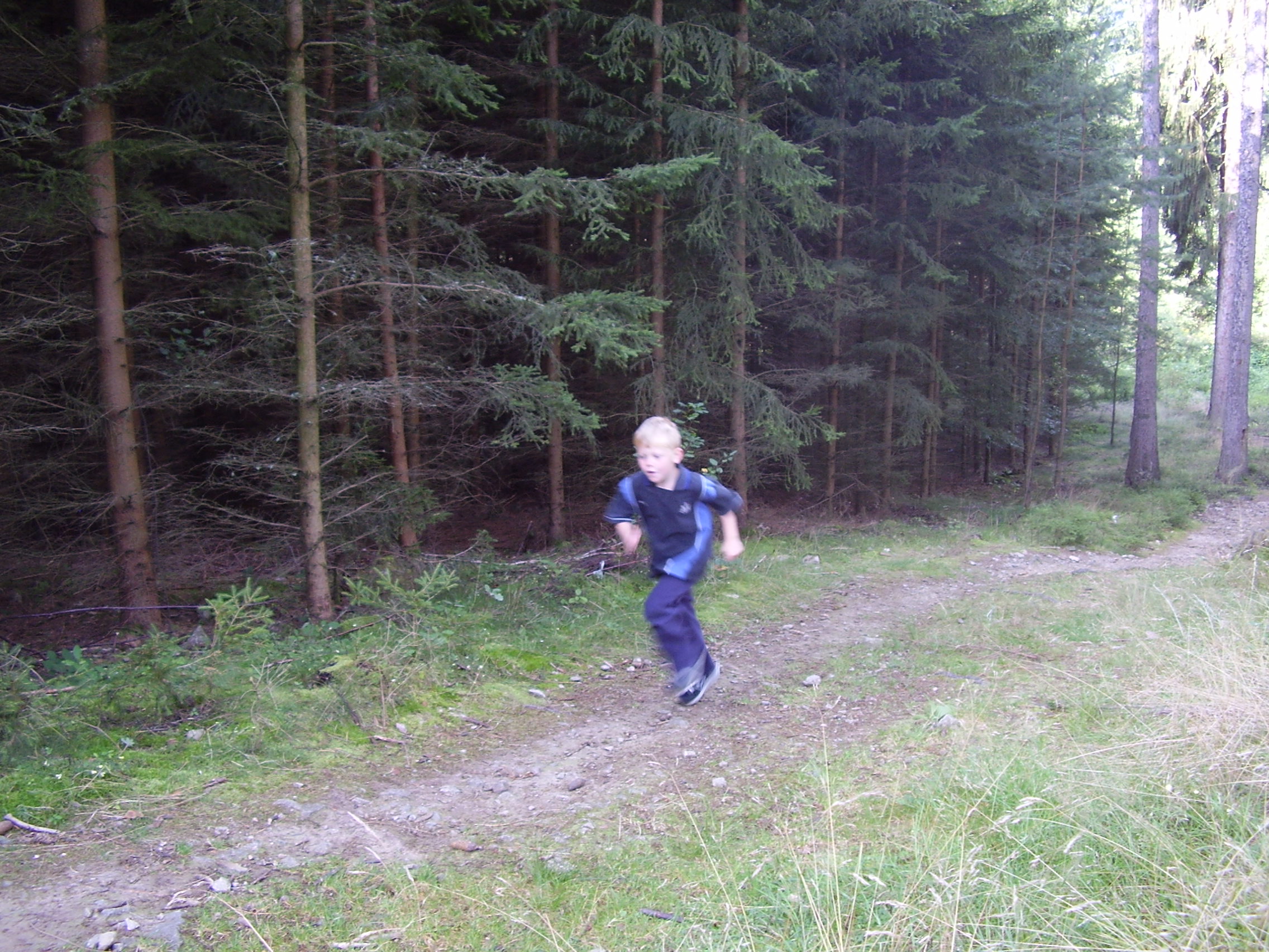 P8230427.JPG
